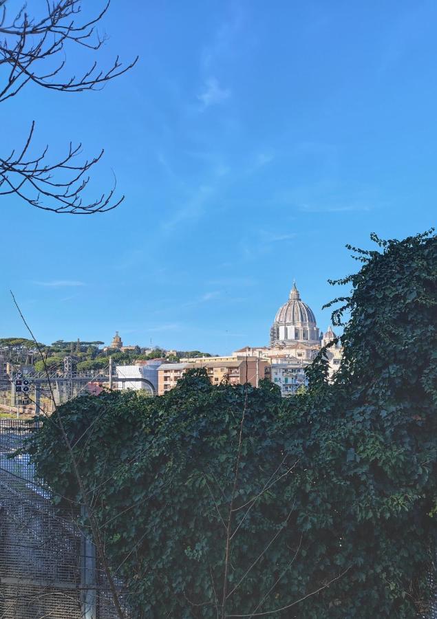 Timeless St Peter Terrace Daire Roma Dış mekan fotoğraf